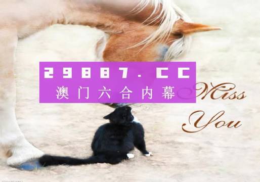 4949正版免费全年资料,关于4949正版免费全年资料的深度探讨