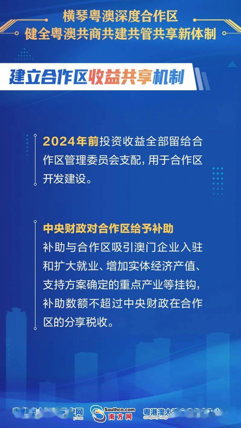 新澳今天最新资料995,新澳今日最新资料深度解析，995背后的故事与趋势