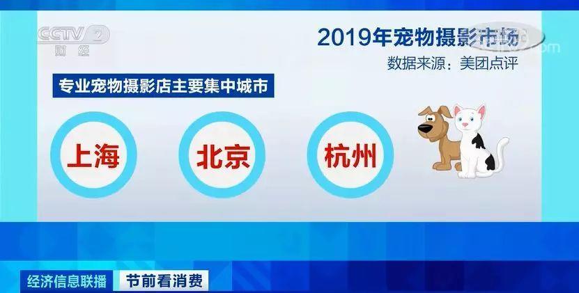 管家婆一肖一码100正确,管家婆一肖一码，揭秘100%正确的预测之道