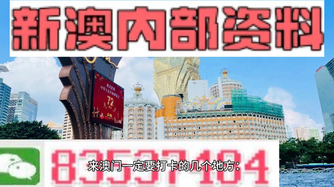 2023澳门正版资料免费,关于澳门正版资料的免费获取与潜在风险探讨（2023年）