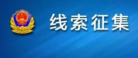 澳门正版资料免费大全新闻——揭示违法犯罪问题,澳门正版资料免费大全新闻——揭示违法犯罪问题的严峻挑战