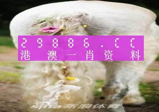 今晚一肖一码澳门一肖四不像,今晚一肖一码澳门一肖四不像——揭开犯罪的面纱