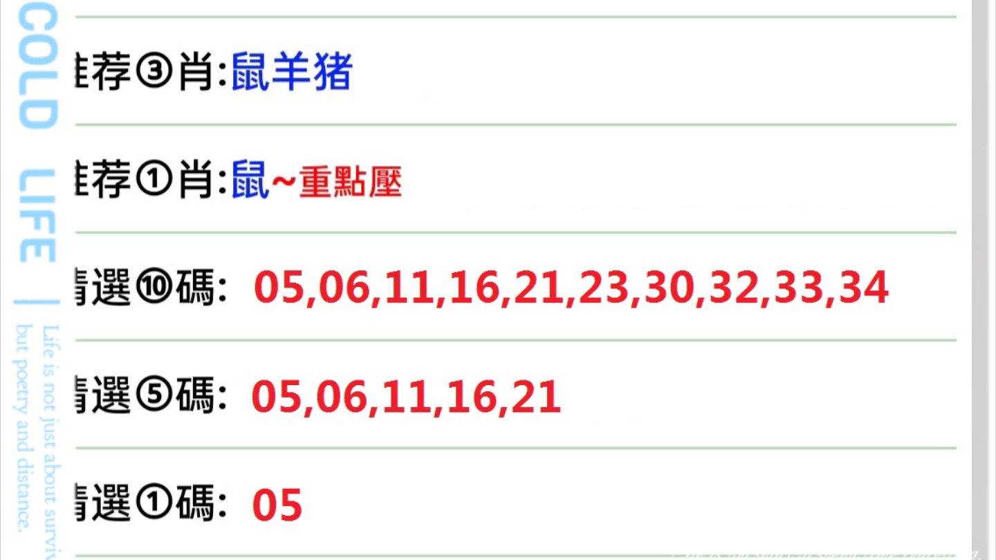 2024年12月23日 第4页