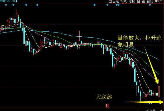 新澳门彩出特生肖走势,新澳门彩出特生肖走势解析与探讨