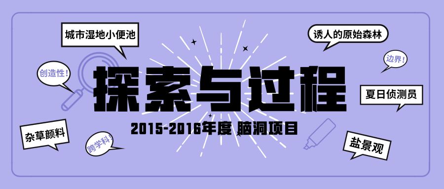 2024今晚新澳开奖号码,探索未知的奥秘，新澳开奖号码的期待与启示