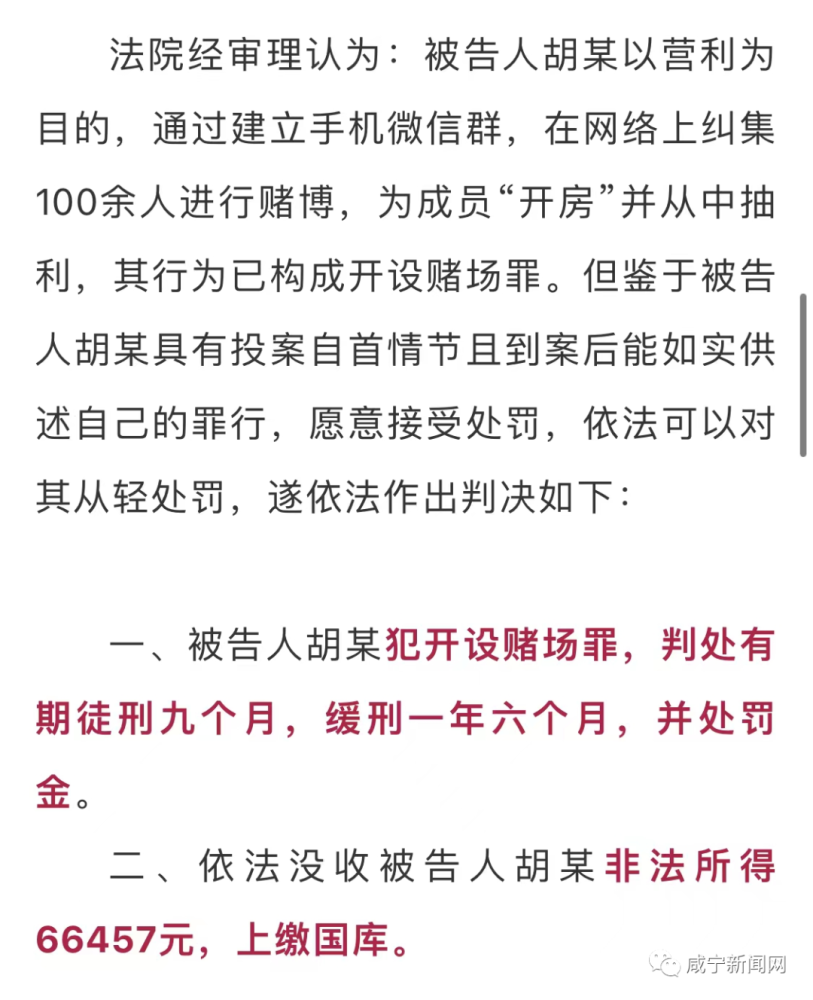 2024年新澳门天天开好彩大全,新澳门天天开好彩背后的风险与挑战——警惕违法犯罪问题的重要性