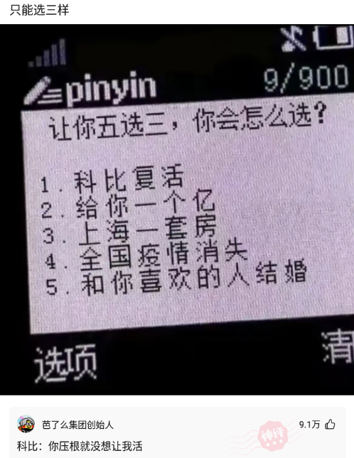 今晚澳门特马必开一肖,今晚澳门特马必开一肖，探索生肖与彩票的神秘联系